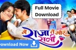टीना टप्पर